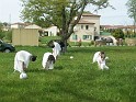 Boisseuil-Soneja_15ans (051)